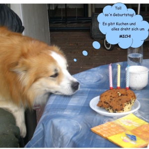ari3geburtstag2