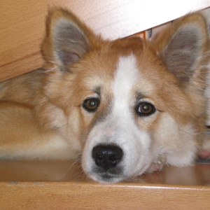 cimg0033